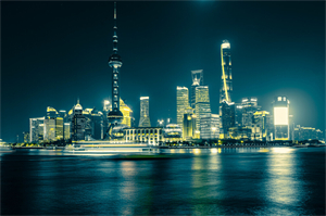 Research on the skill shortage issue in Shanghai's artificial intelligence field